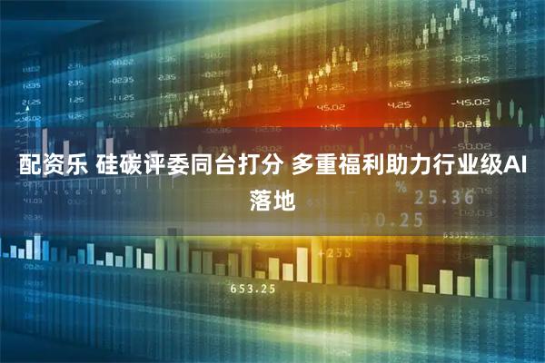 配资乐 硅碳评委同台打分 多重福利助力行业级AI落地