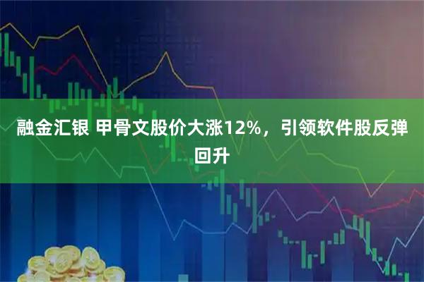 融金汇银 甲骨文股价大涨12%，引领软件股反弹回升